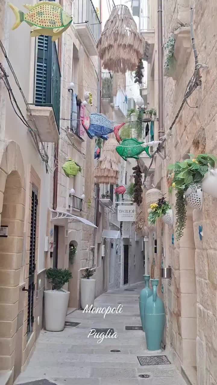 @Antonia Vecchi