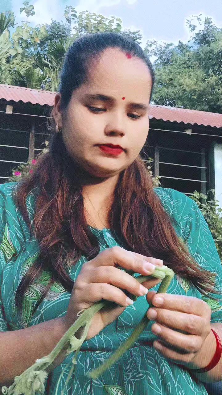 @म मता थापा पौडेल