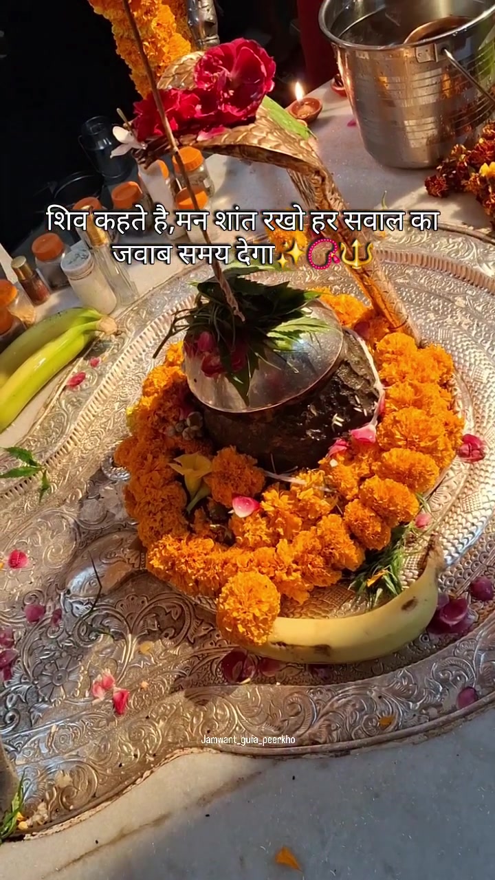 @Zisha