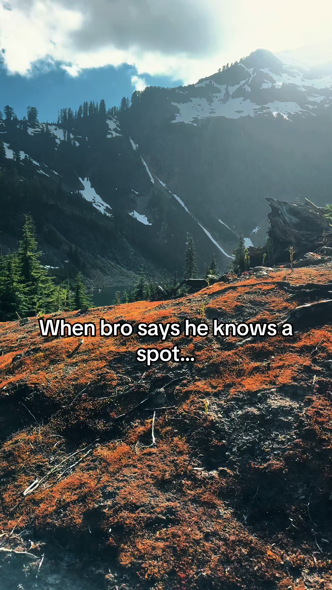@🌲 James | WA 🏔️