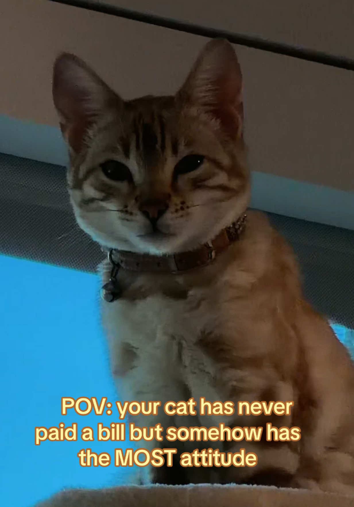 @Veronica Posada