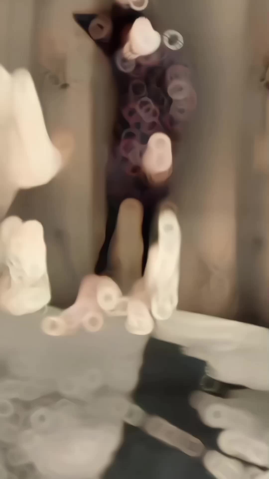@💞صباء🌸