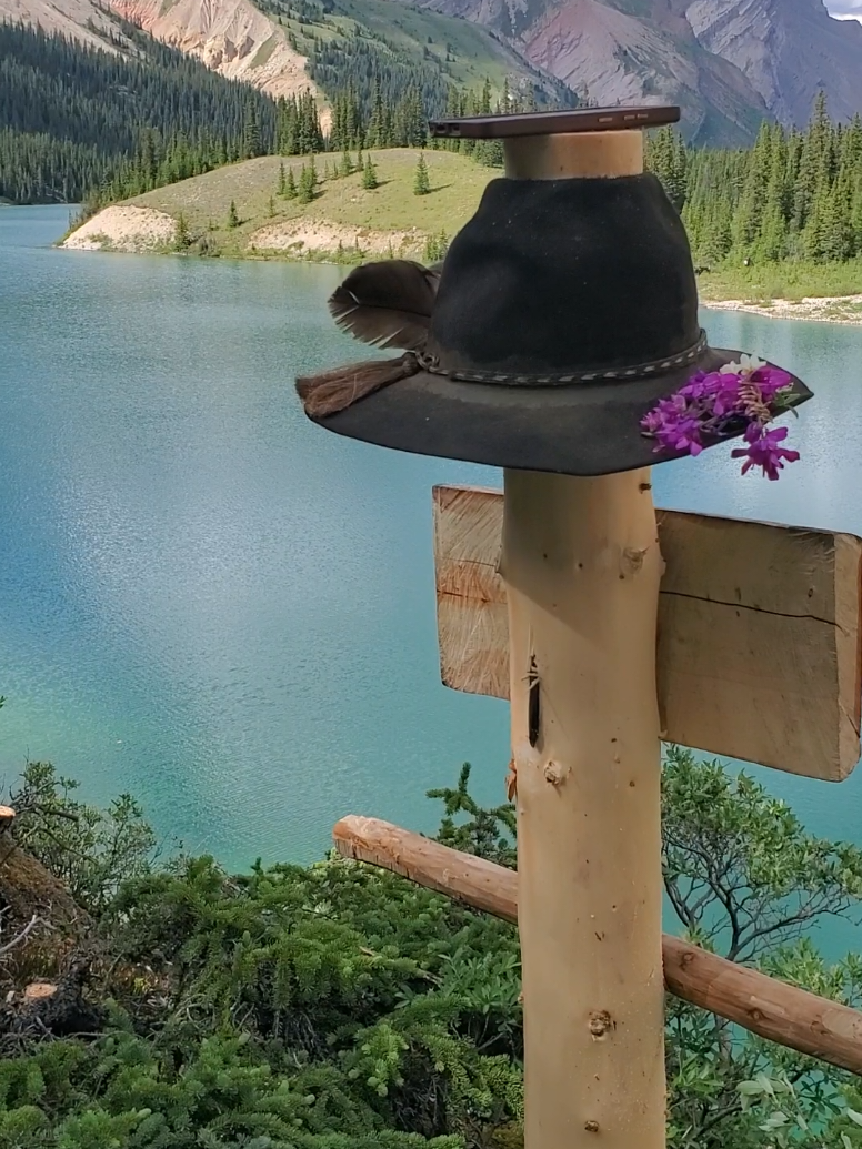@ddwildhunts