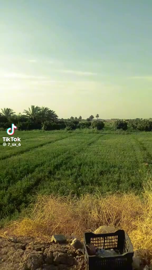 @طالب احمد