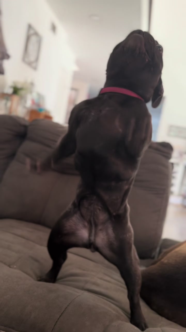 @minniecantalk