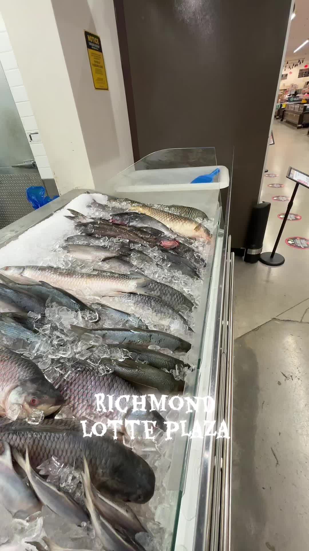@Hk Rahimi