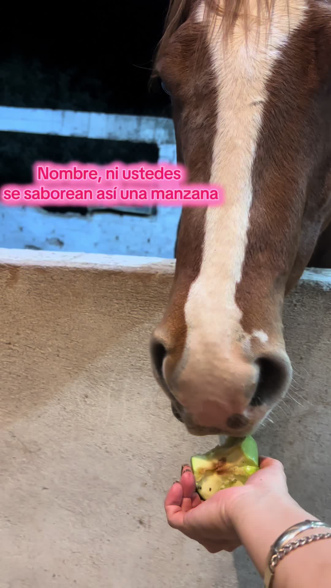 @anaelizabethcordo