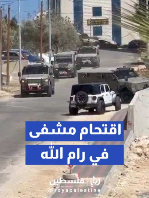 @Royapalestine رؤيا فلسطين