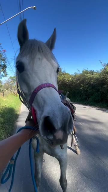 @ThunderGallops
