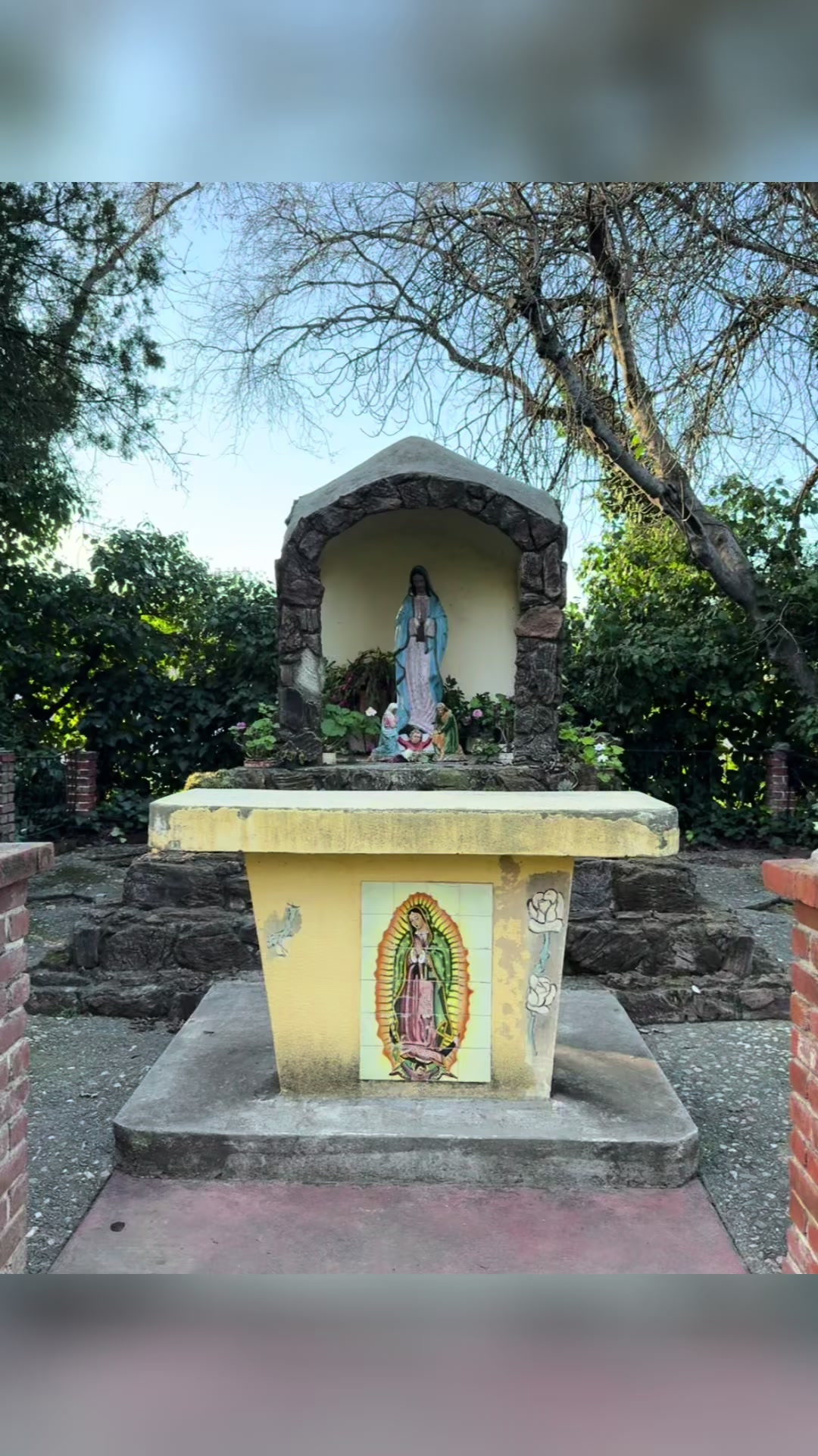 @Dora Lilia 🇲🇽 Korita