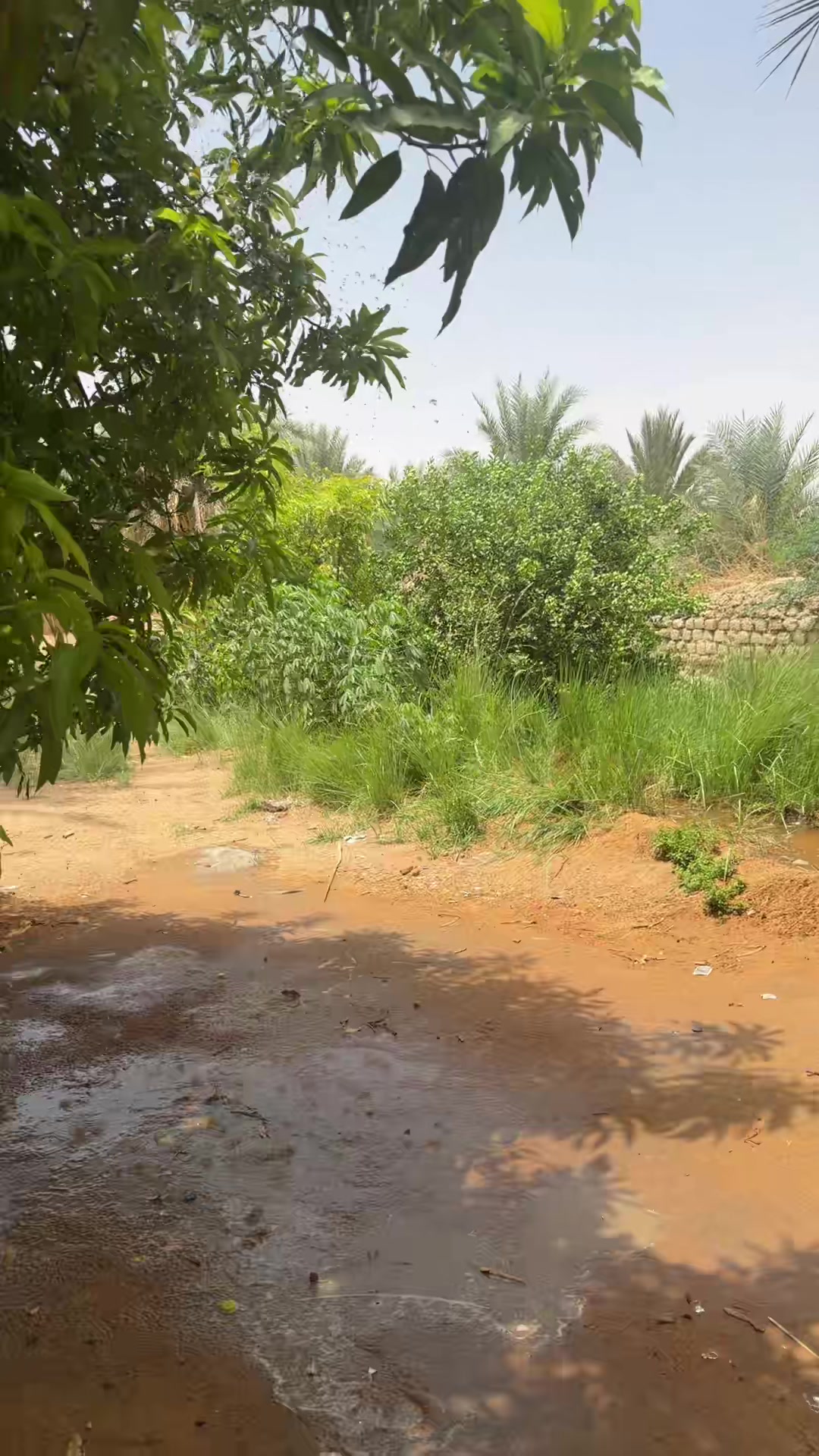 @Tourgoudi 235