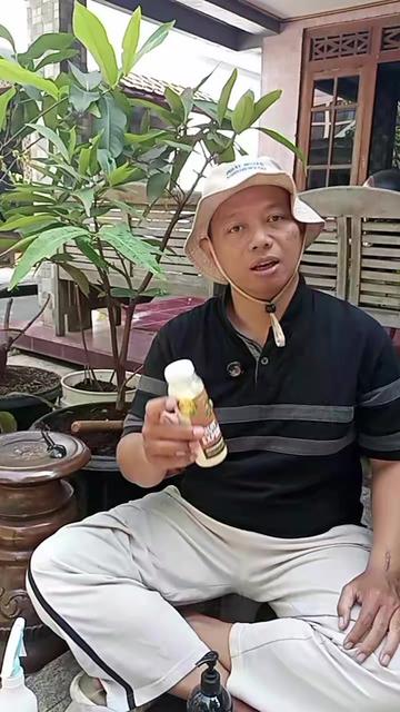 @Berkebun Berkah