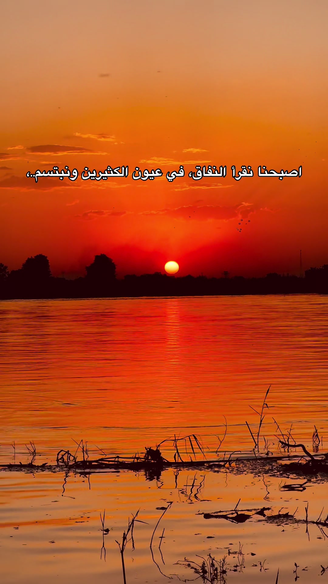 @أنور