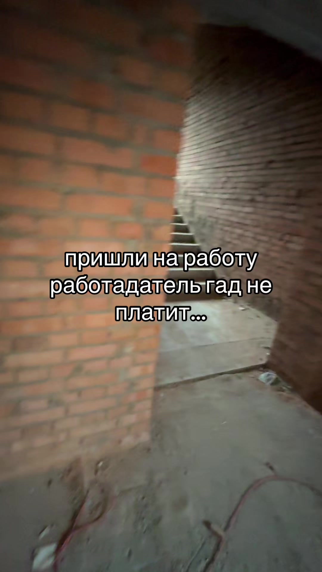 @w00dysstore #пузатый