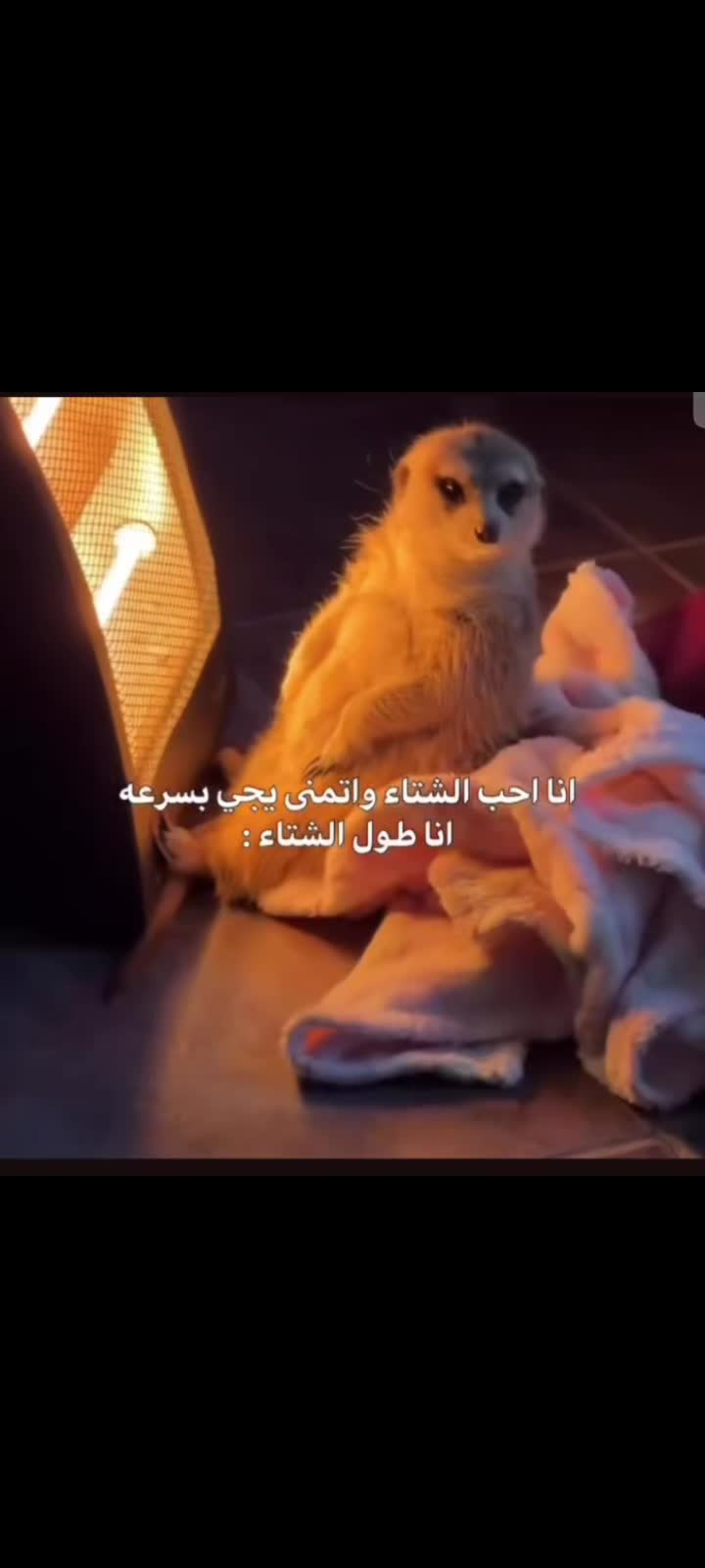 @عِشـقـ 💫