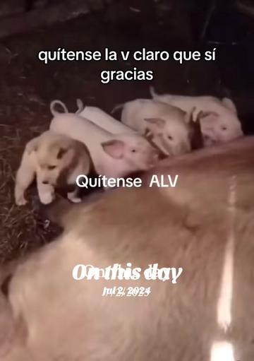 @Olmos69 De zaraid🌙