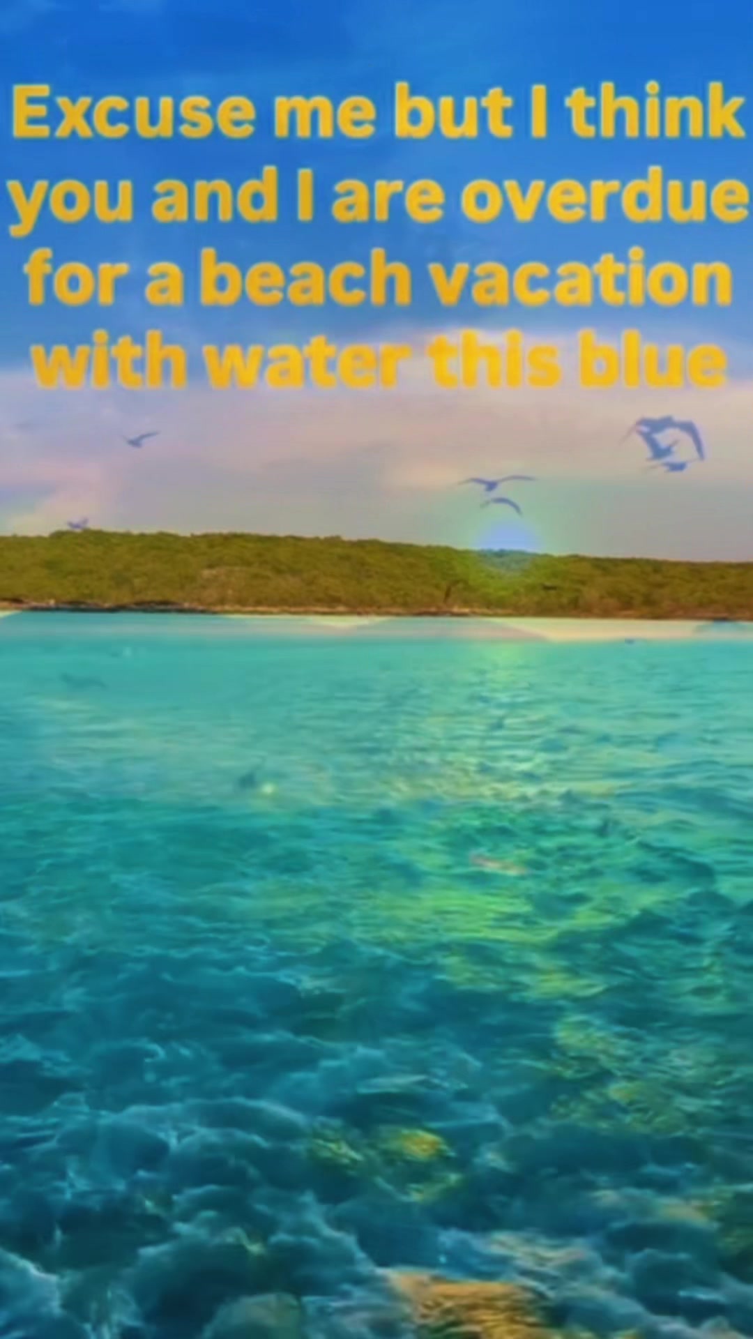 @Karen
