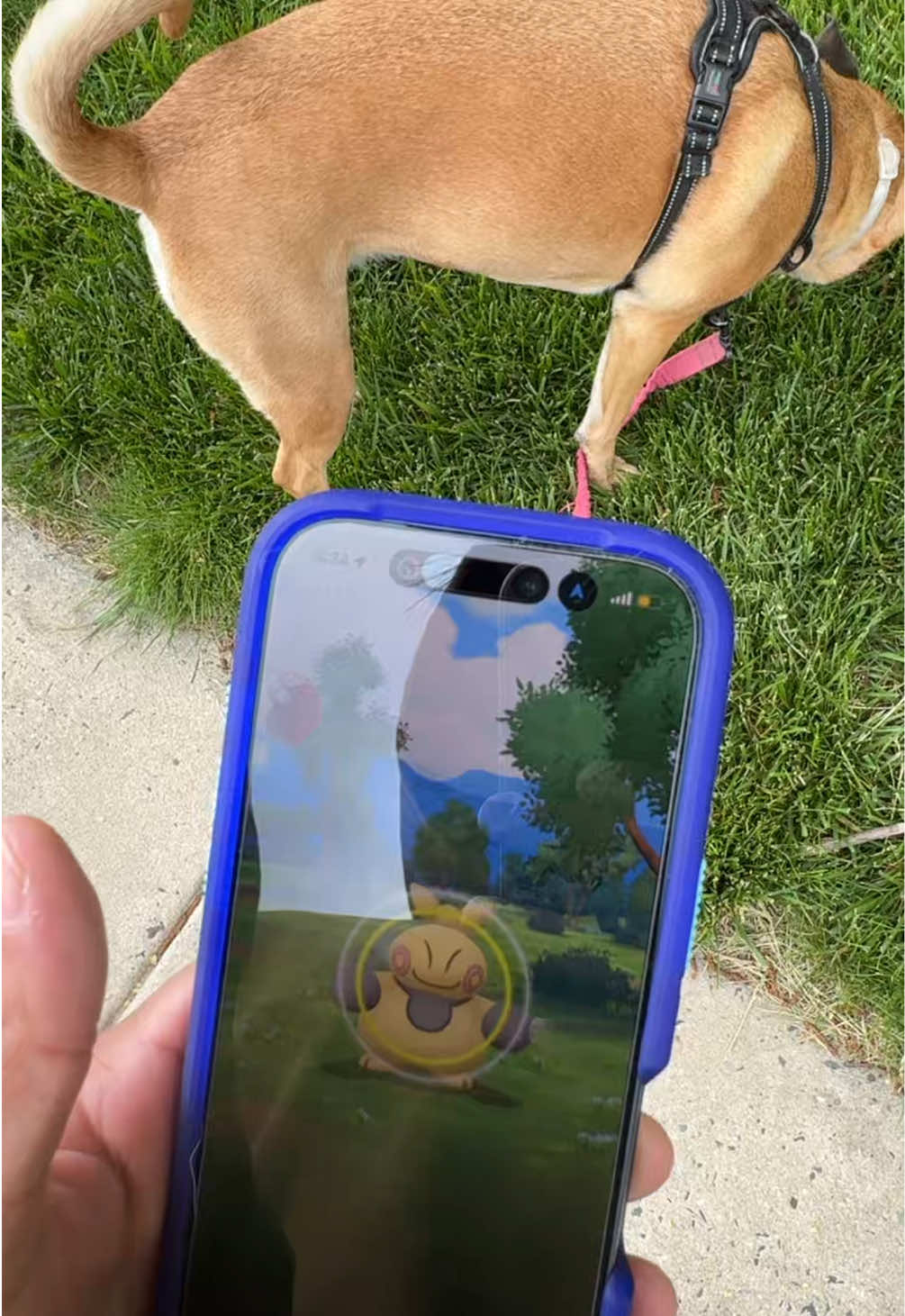 @user312000132