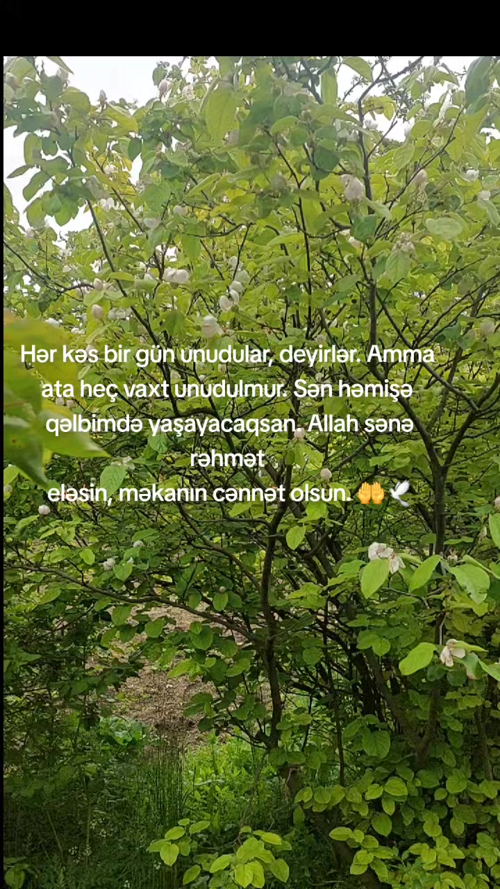 @G______021