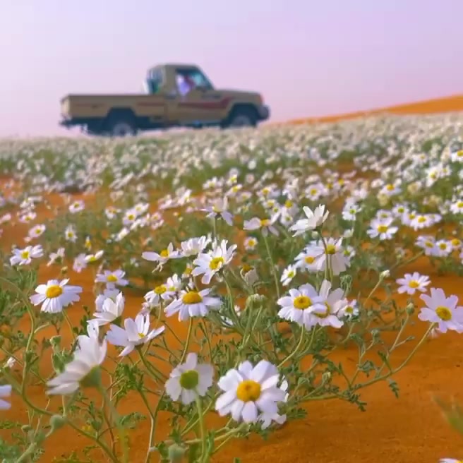 @عذب