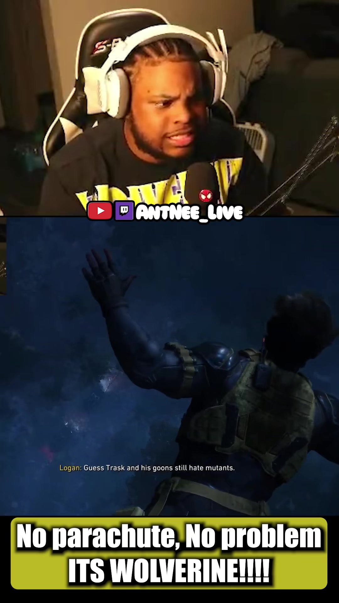 @AntNee Live