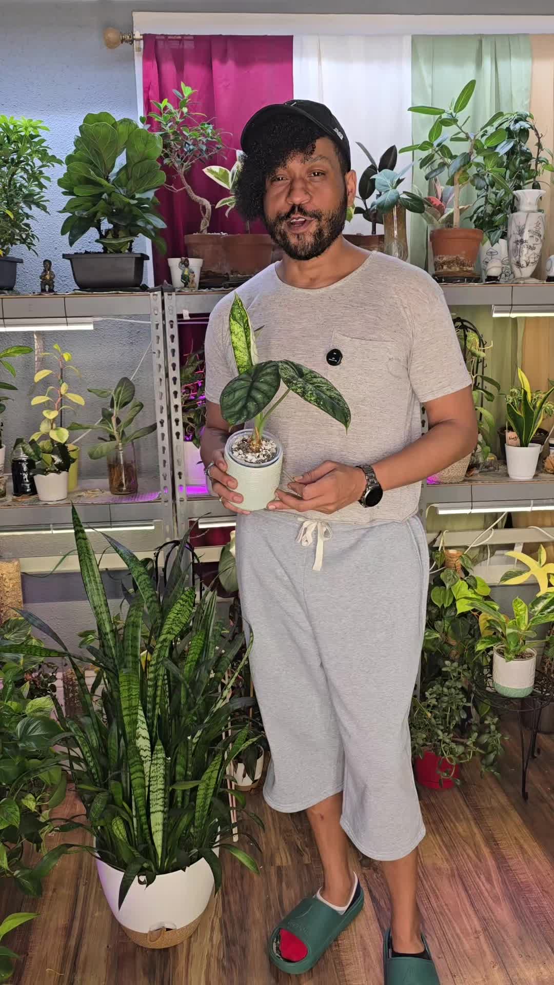 @JT - BigEGOPlants