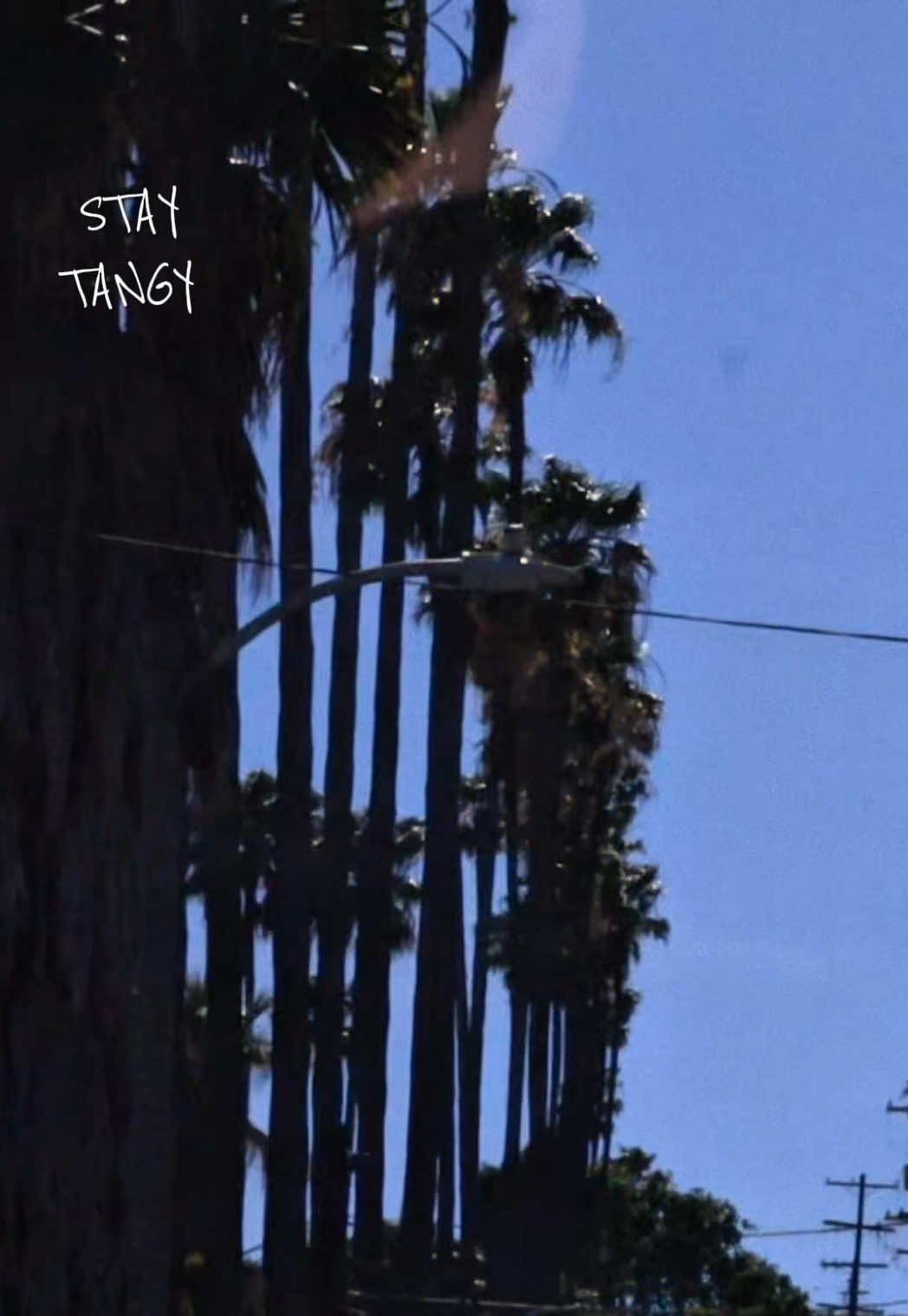 @staytangy