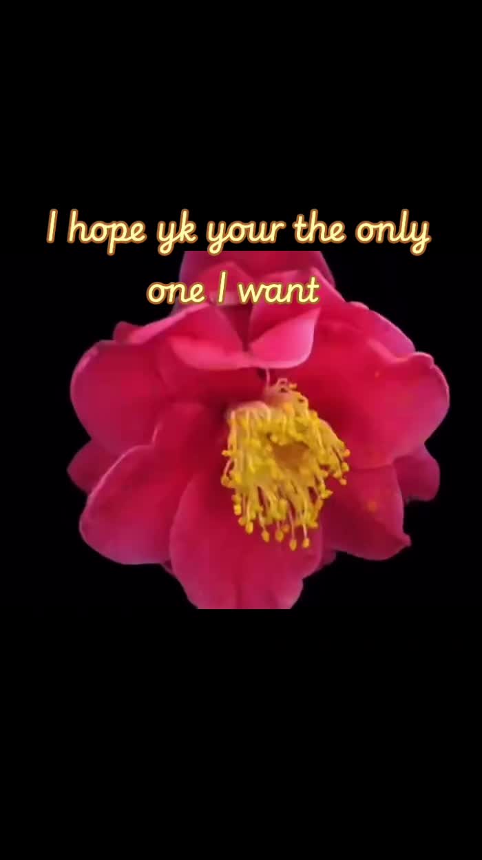 @unknow.jj