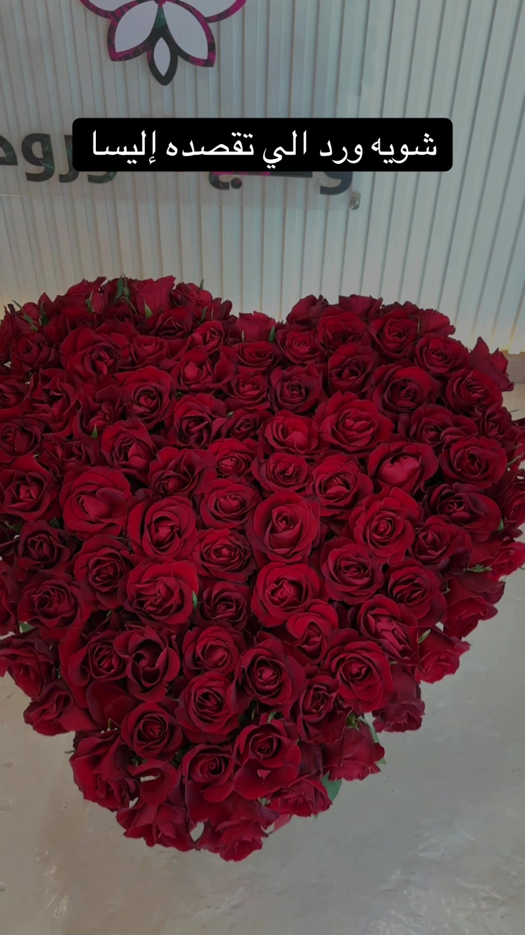 @وهج الورود