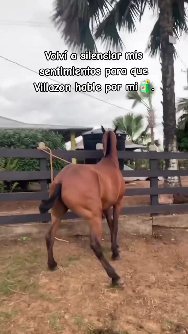 @Juan Meza
