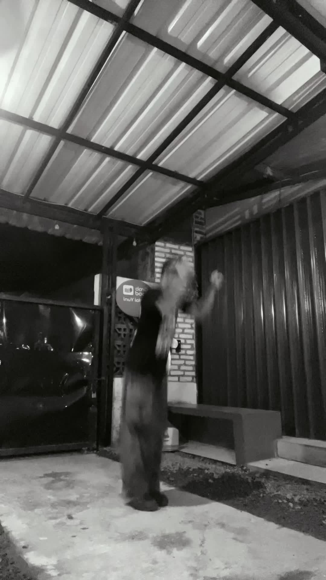 @⛓️waiterscore⛓️