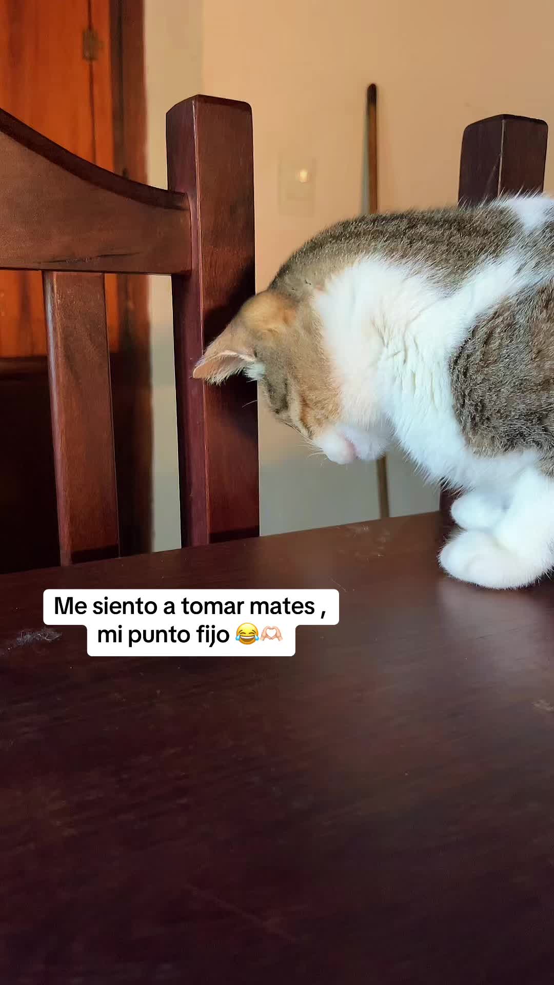 @Vicky🦋