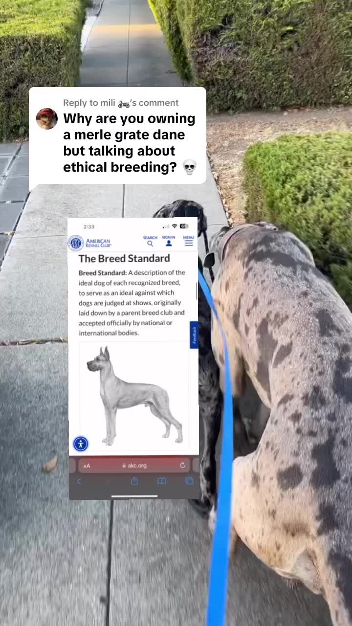 @lex 🐺⛓️