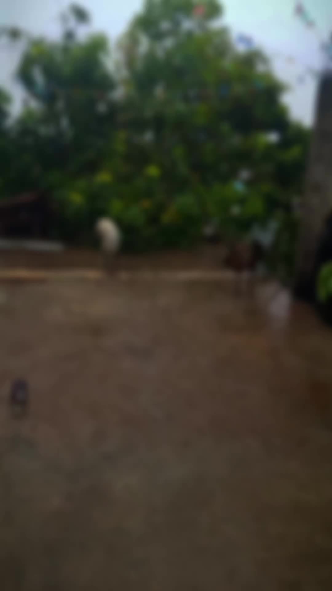 @๐ท๐๐๐๐๐ ๐๐๐๐๐๐ ๐บ