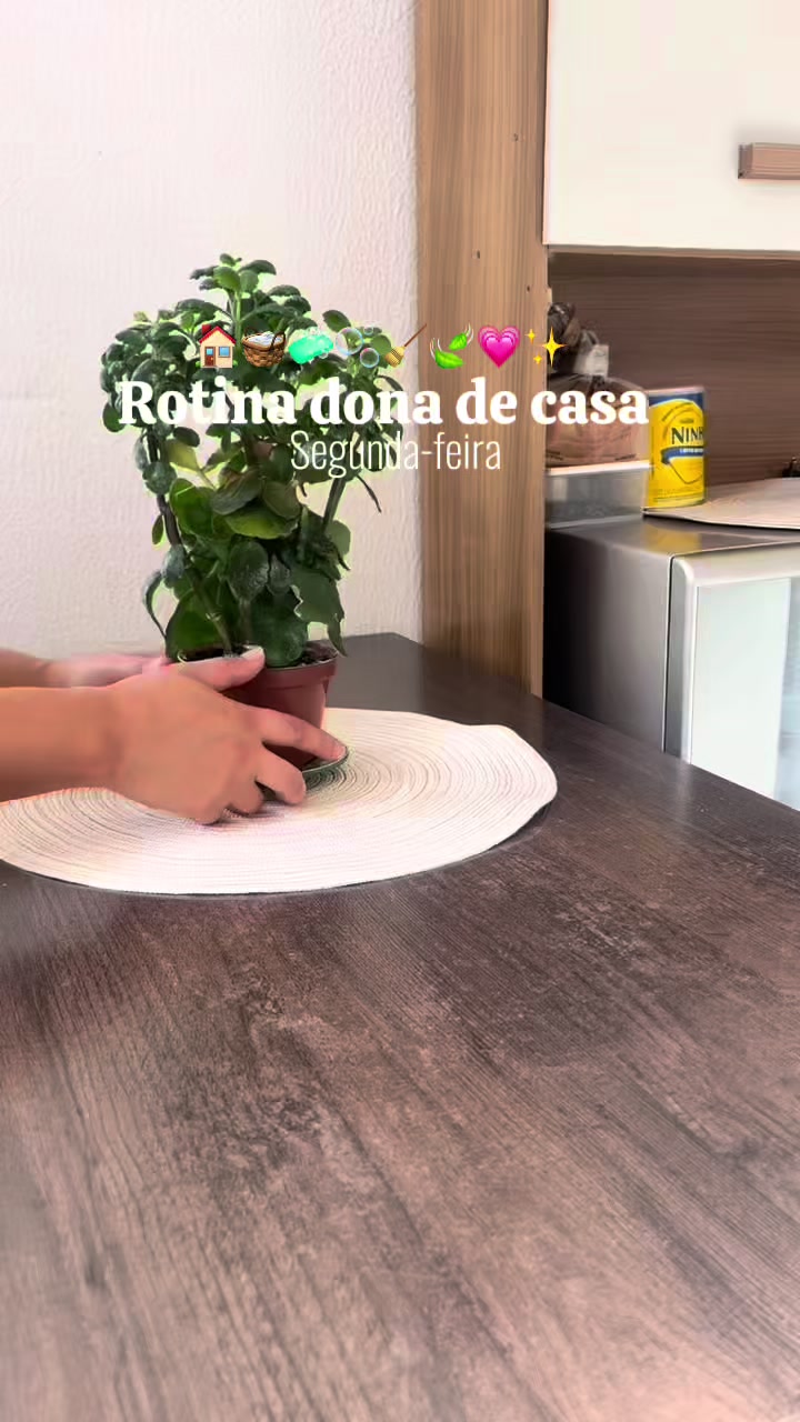 @Dany | Casa & Rotina