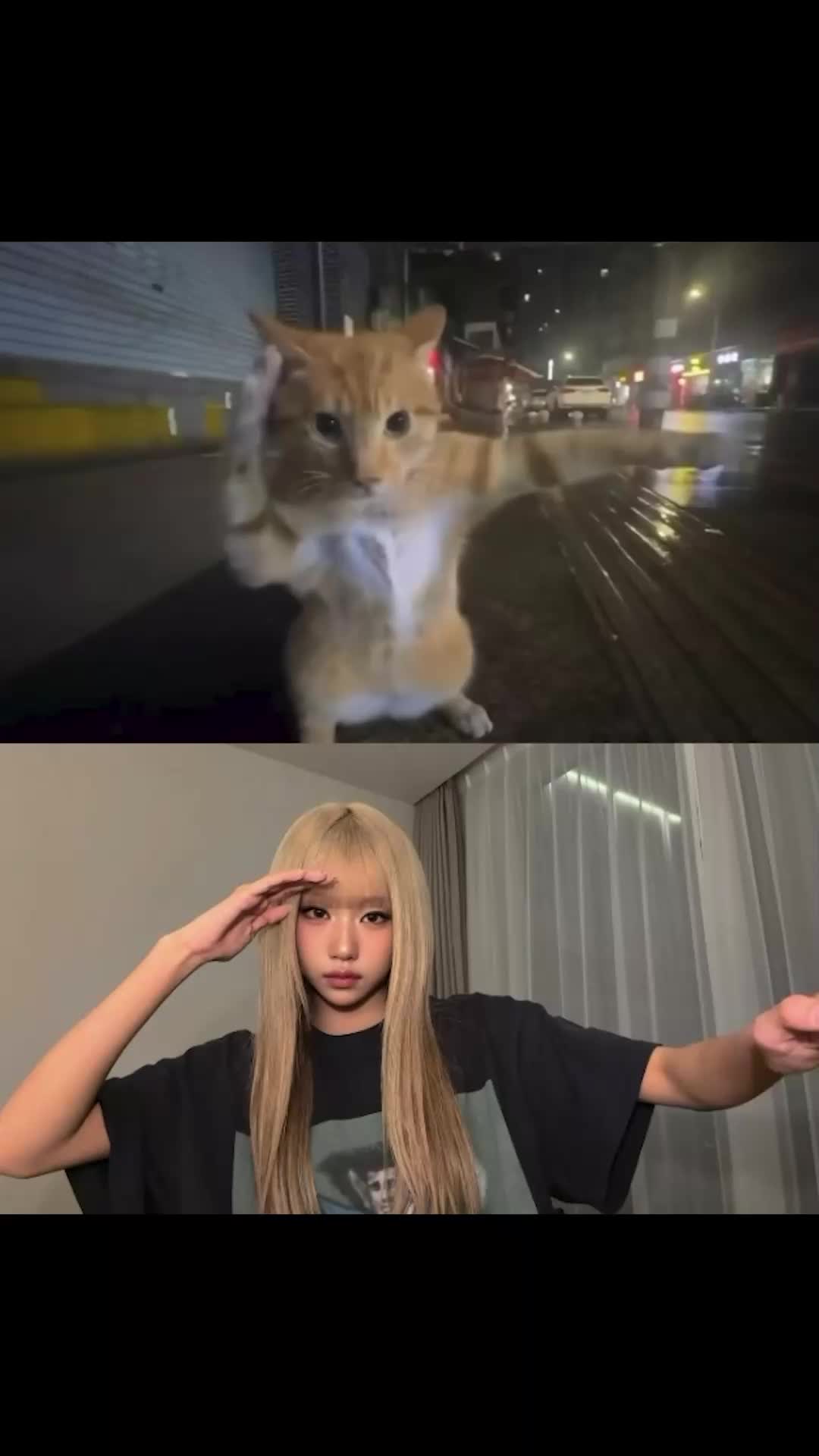 @izna (이즈나)