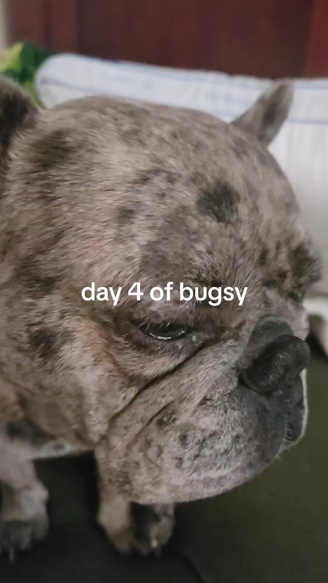 @RusselfromUp