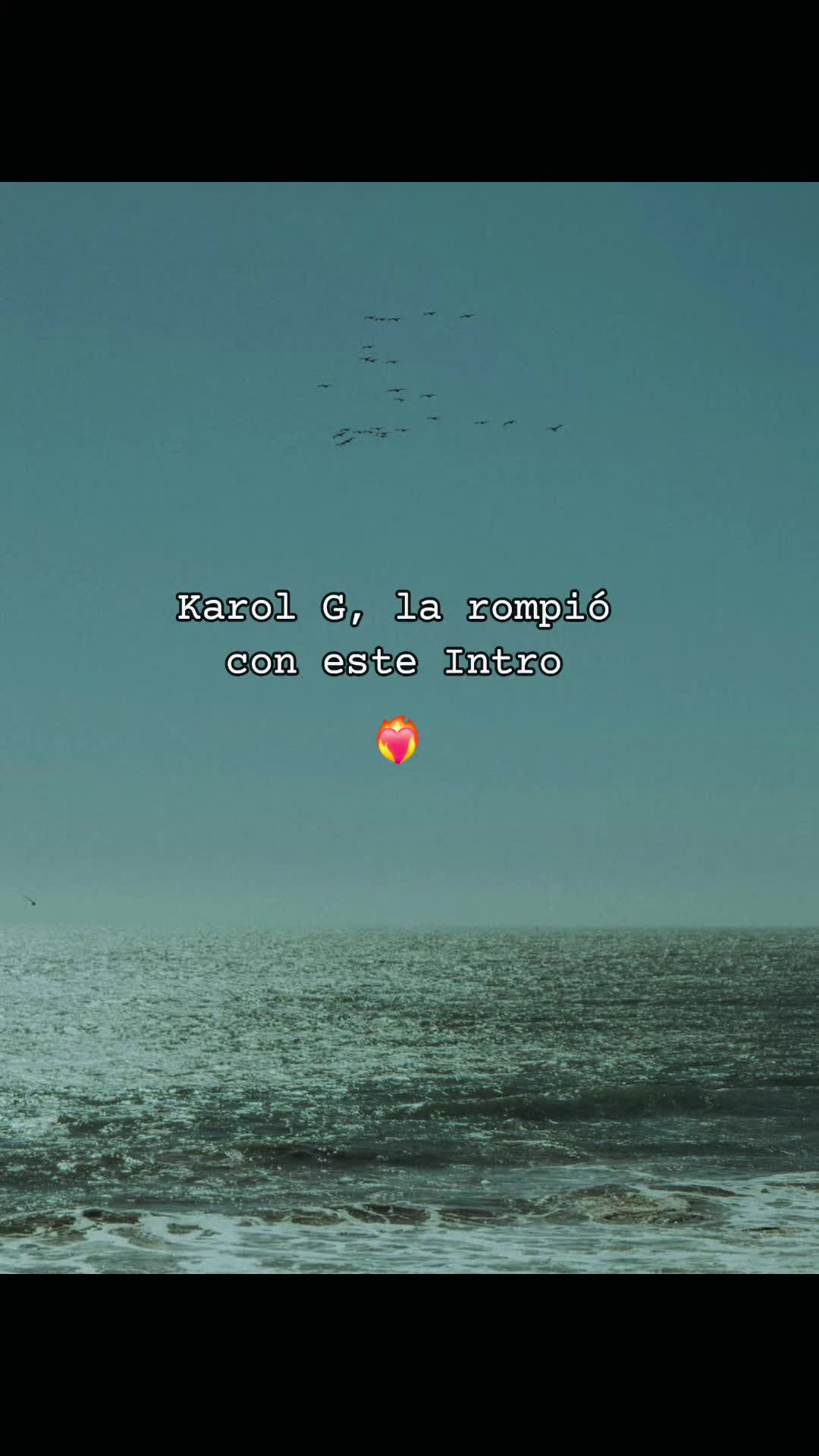 @vivi