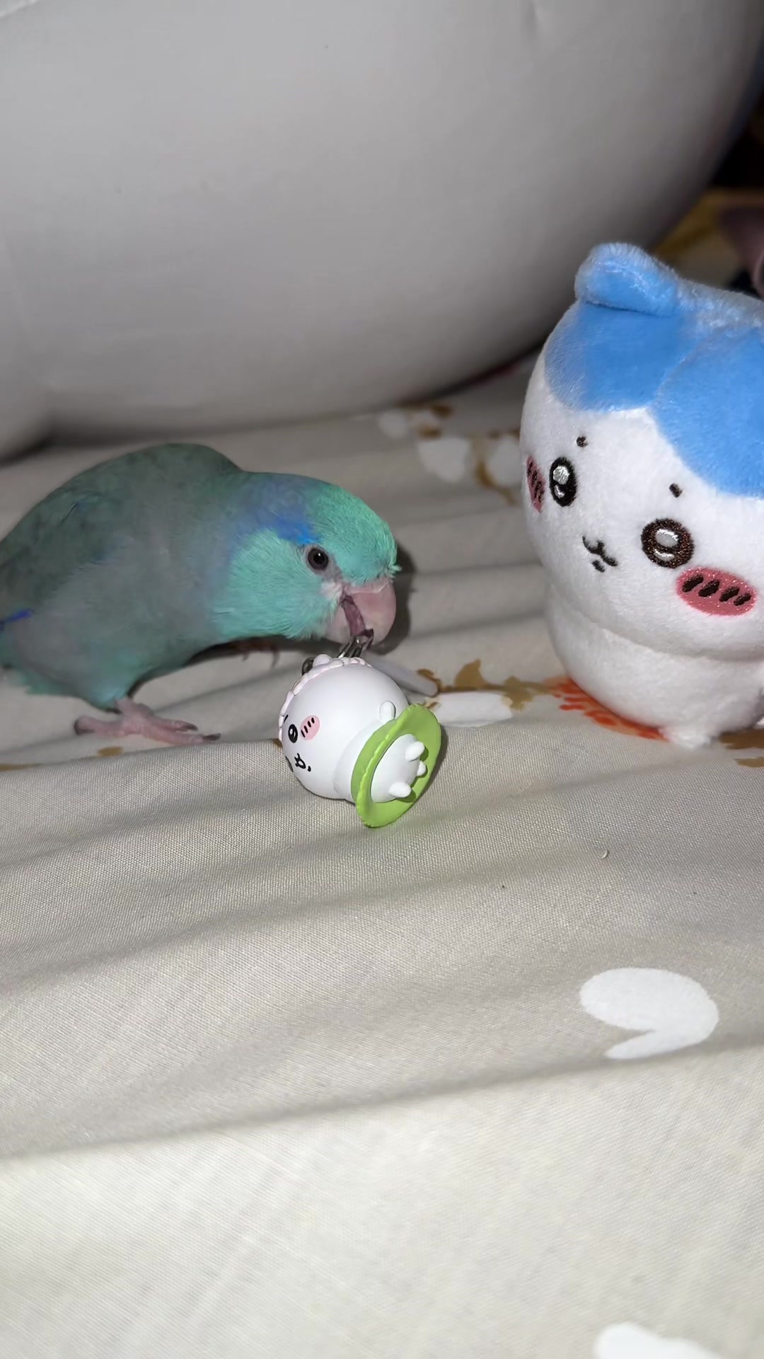 @✨MsDBZbabe✨