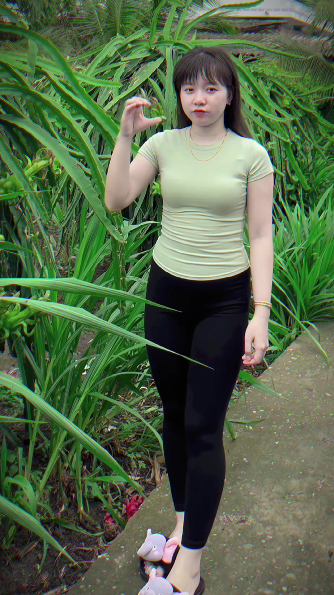 @Cẩm Trúc