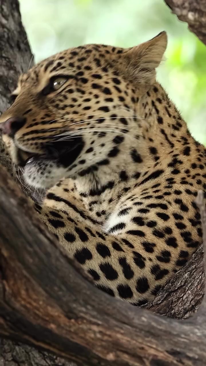 @Pablo S Treviño