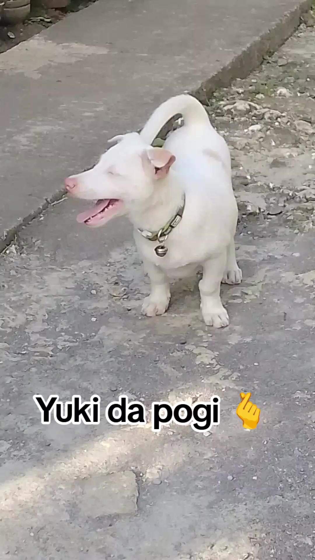 @Kamadi