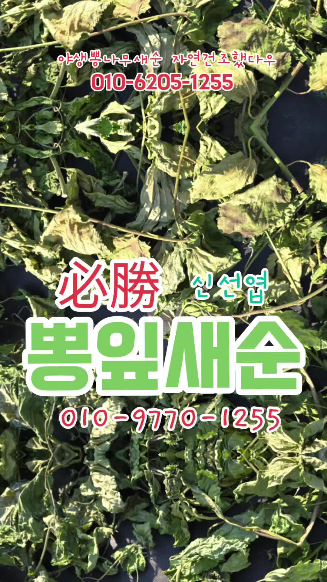 @🔥고물급남자