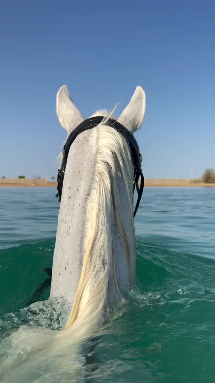@ThunderGallops