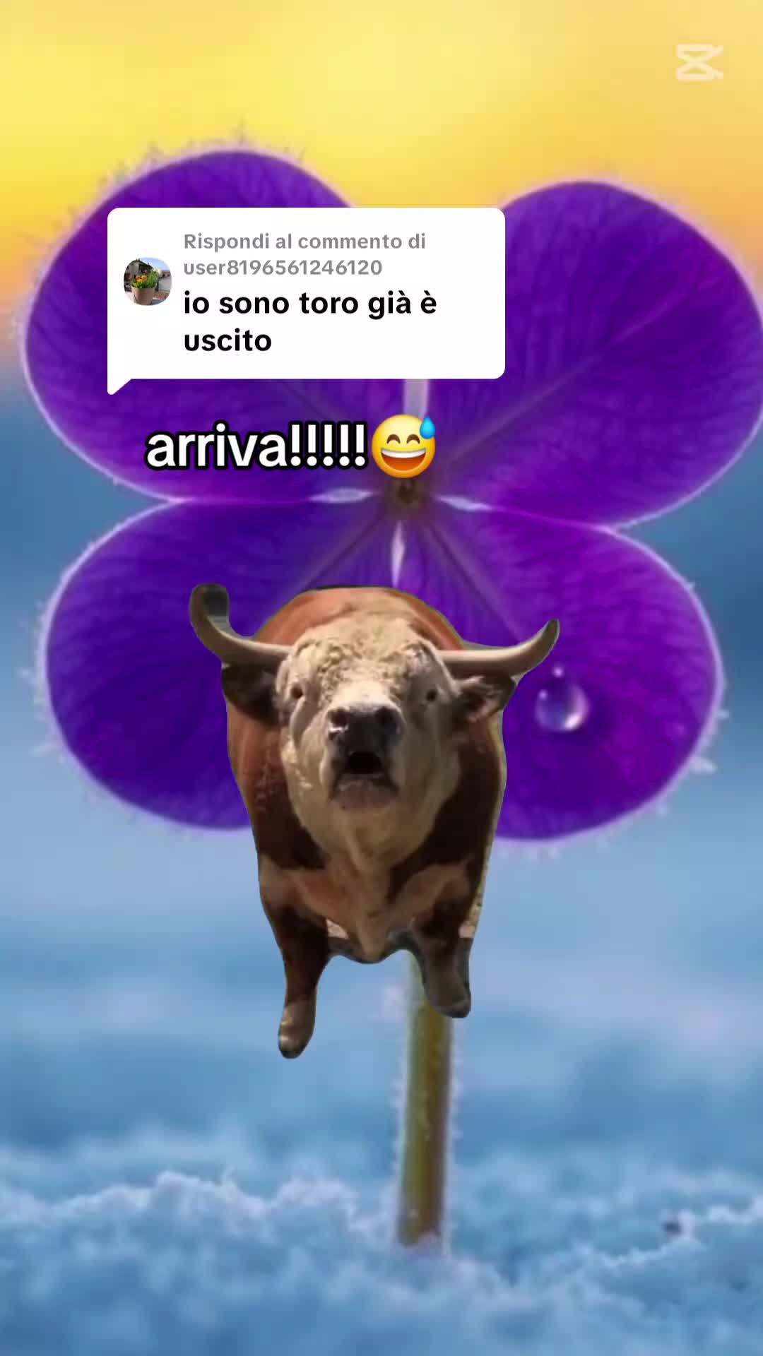 @Violettamarchigiana💖