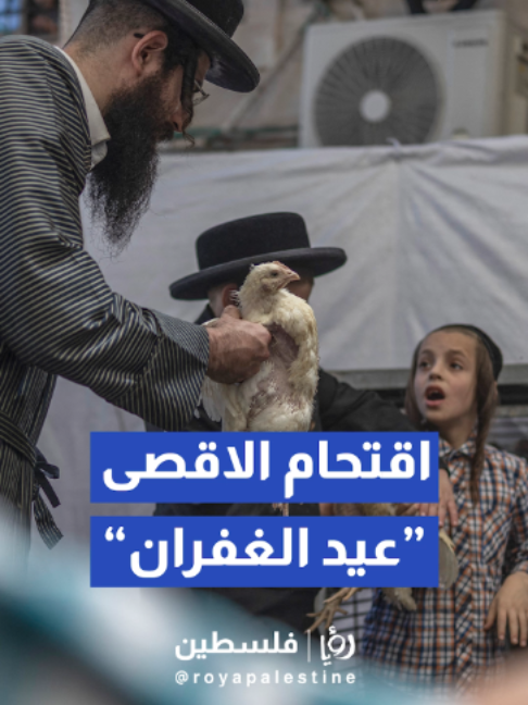 @Royapalestine رؤيا فلسطين