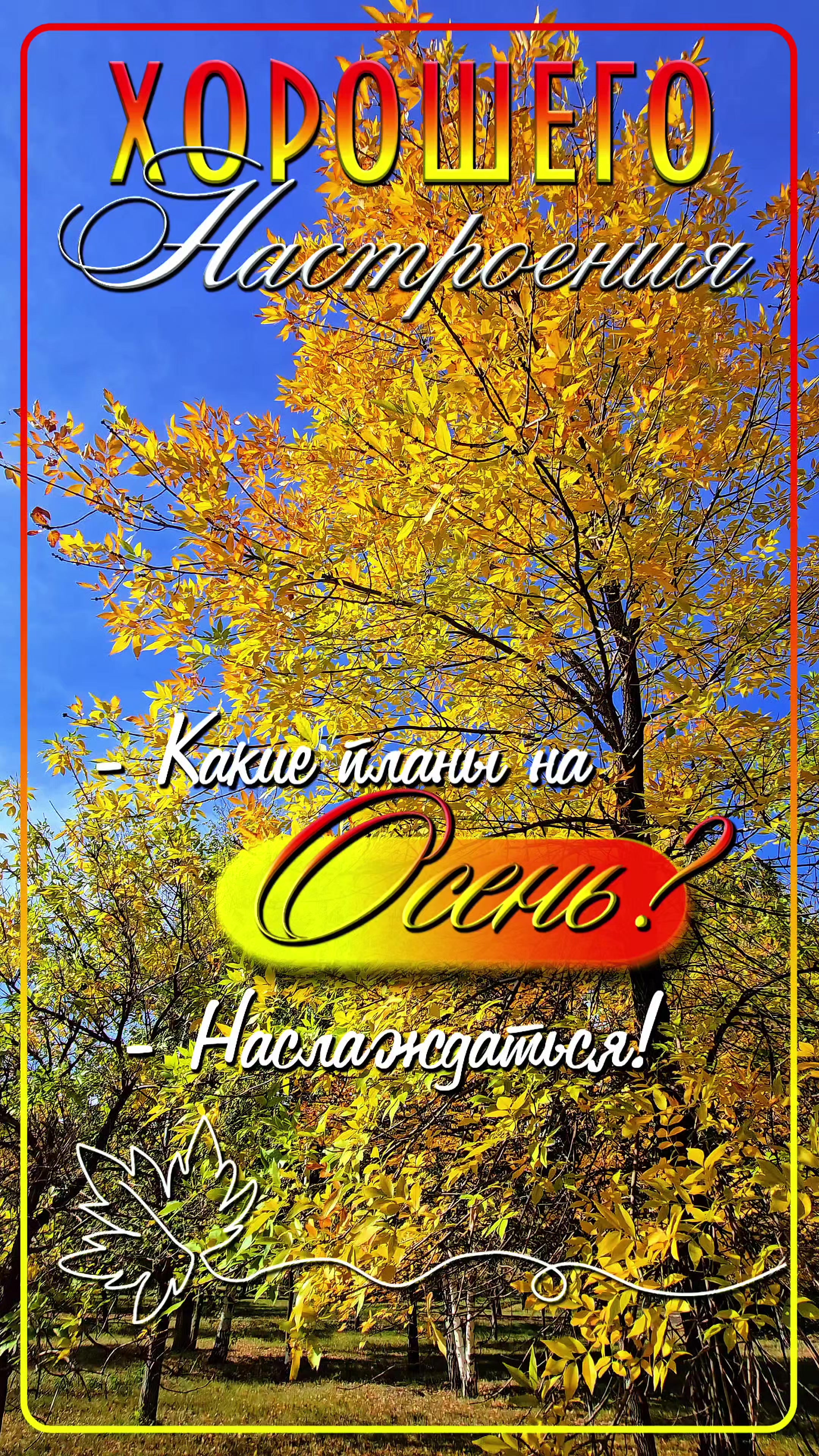 @ªᏗИ₡ª
