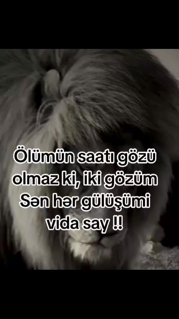 @99RR999