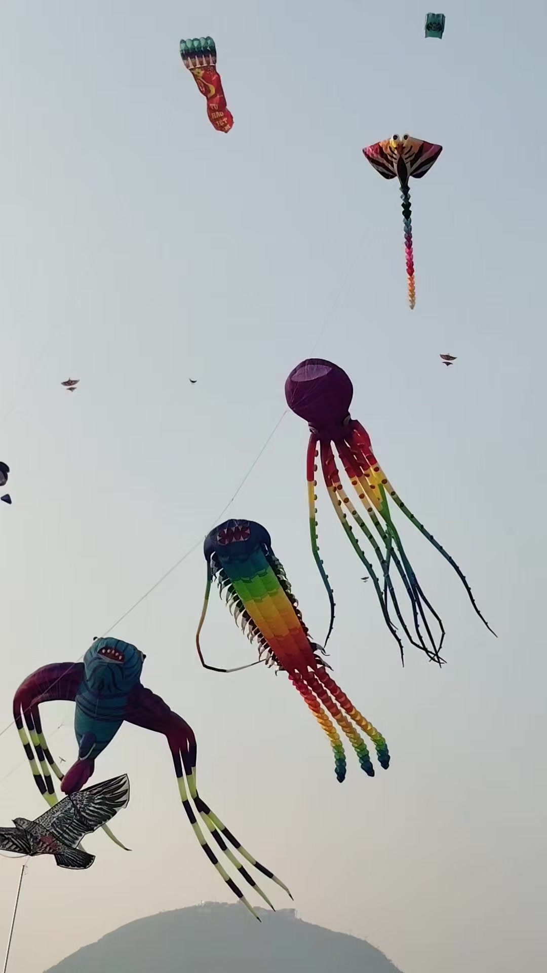 @Ngân sắp giảm cân