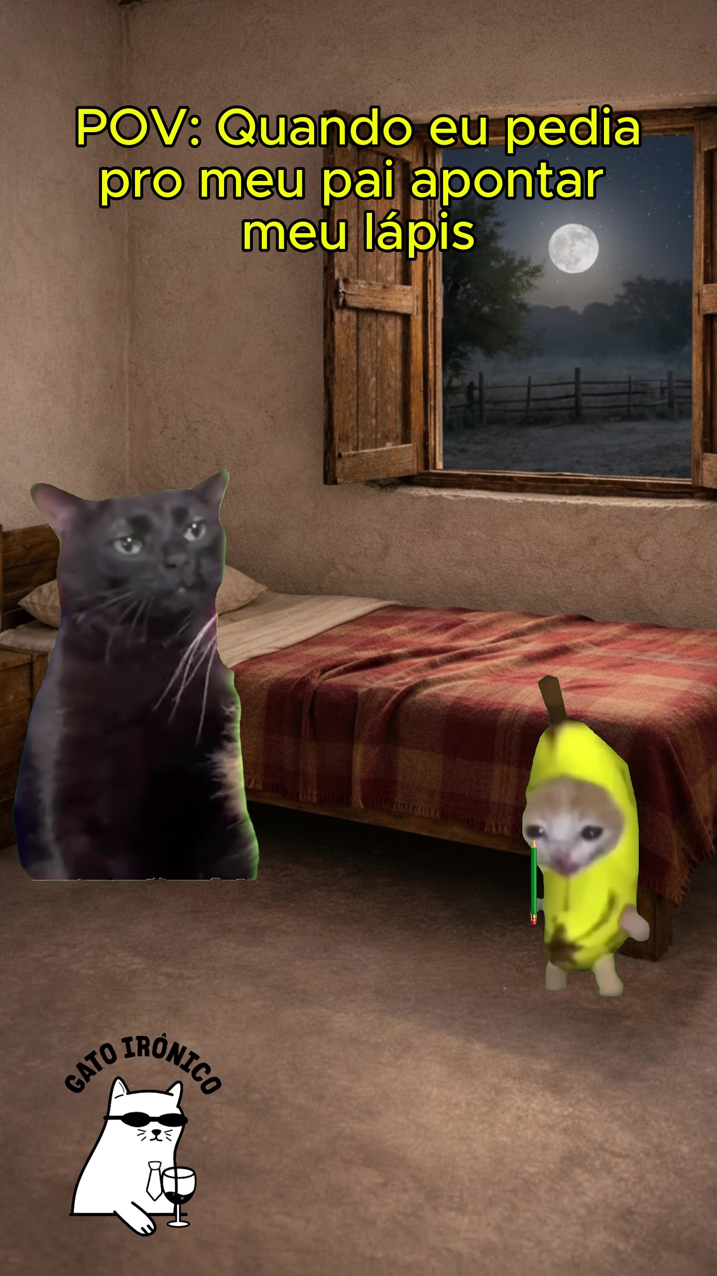 @gato ironico